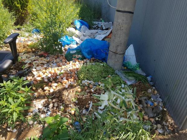 한화토탈 방향 식당 인근에 버려진 음식물 쓰레기에 악취가 심하다.