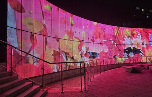천안 노태공원, 화려한 빛의 ‘미디어아트’로 물든다