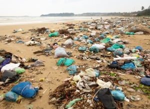 해변마다 쌓이는 해양쓰레기, 청정지역 없어질라